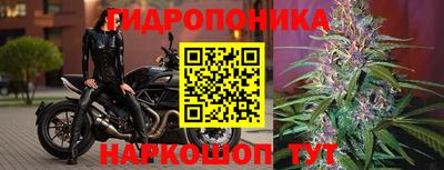 ECSTASY Изобильный