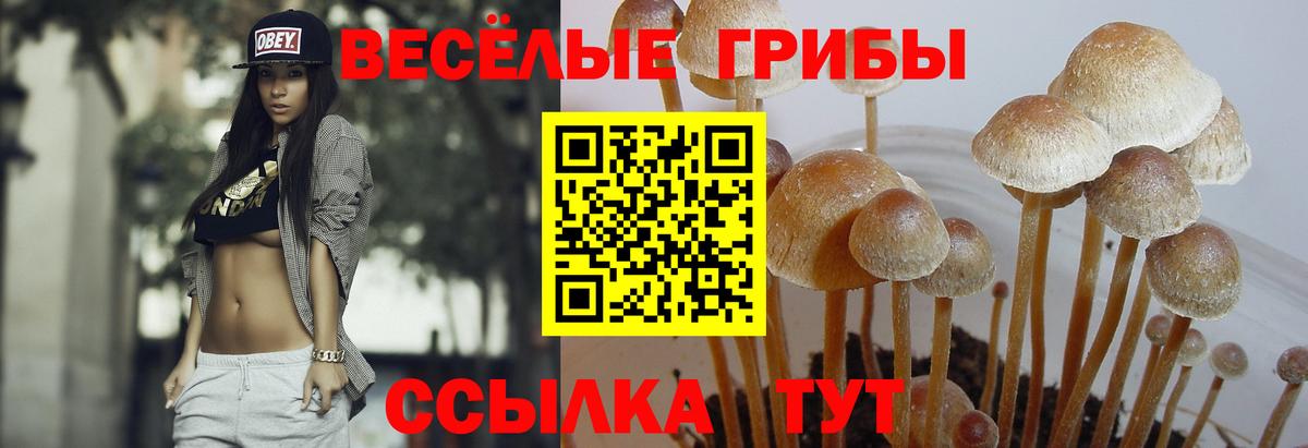 Галлюциногенные грибы Magic Shrooms  Вход с VPN  Кыштым 